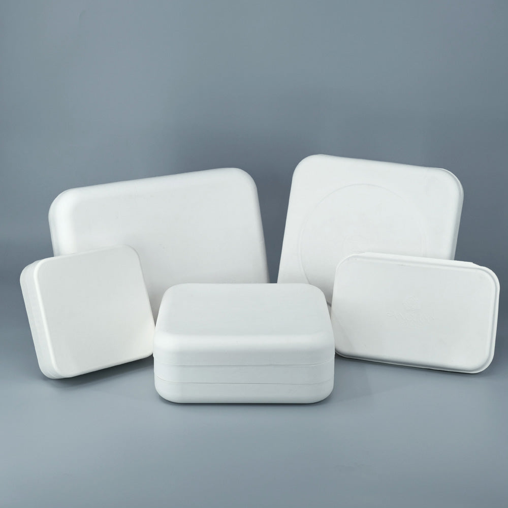 Eco Friendly Gifts Molded Pulp Lid And Bottom Packaging