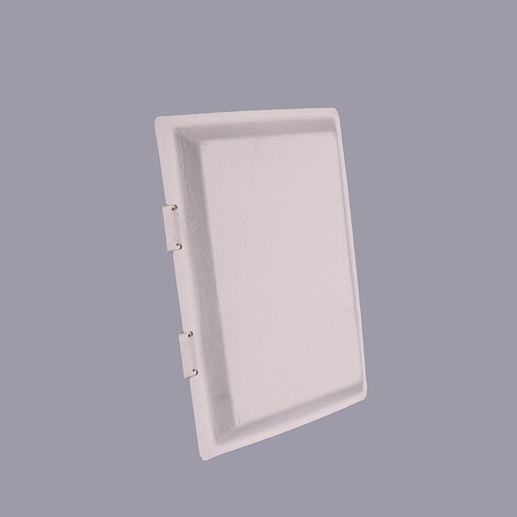 Sugarcane Pulp Common Eco Friendly Paper Box