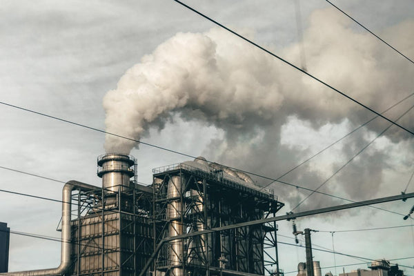 Cepi Says Pulp and Paper Manufacturers are Innovating Their Way Out of CO2 Emissions
