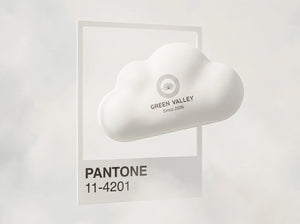 Pantone 2026 Color of the Year: Why "Cloud Dancer" is the Future of Sustainable Packaging