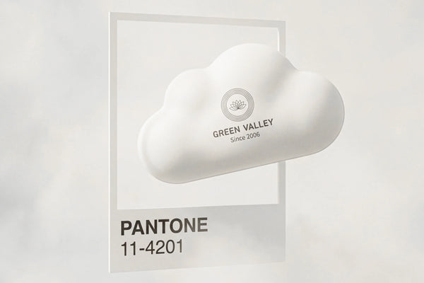 Pantone 2026 Color of the Year: Why 