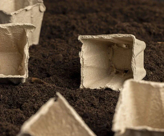 How Long Does It Really Take for Your Packaging to Disappear?