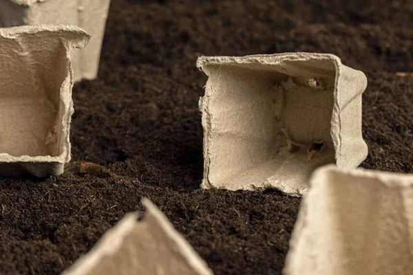 How Long Does It Really Take for Your Packaging to Disappear?