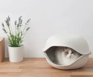 Guide to Pet Pulp Molding Products