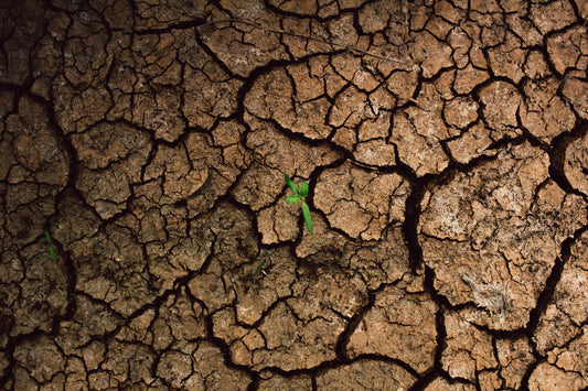 Turn unsuitable soil into a rich, growing medium