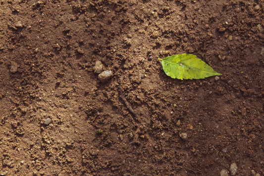 Soil Degradation Crisis