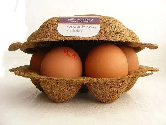 What is the Most Sustainable Packaging Material Today?