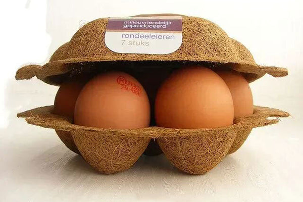 What is the Most Sustainable Packaging Material Today?