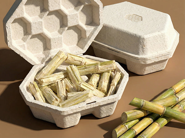 From Farm to Table: Unveiling How Sugarcane Bagasse is Transformed into Biodegradable Tableware