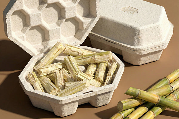 From Farm to Table: Unveiling How Sugarcane Bagasse is Transformed into Biodegradable Tableware