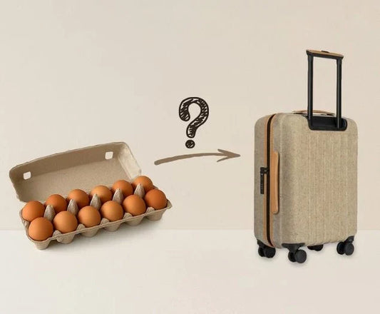 Can Egg Trays Be Made Into Suitcases?
