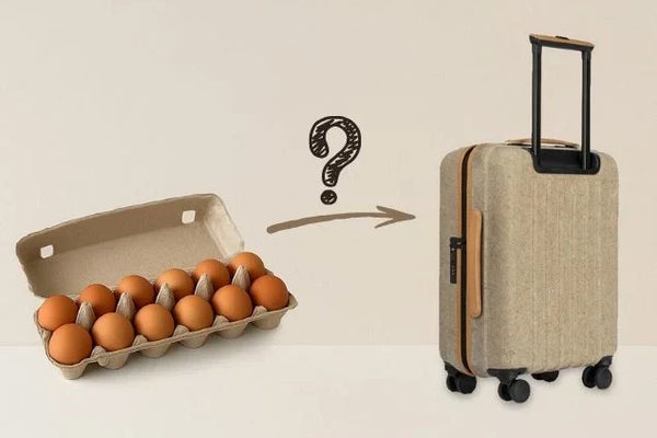 Can Egg Trays Be Made Into Suitcases?