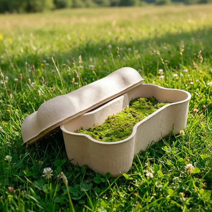 Custom Bone Shape Eco Pet Coffin Biodegradable - Otarapack