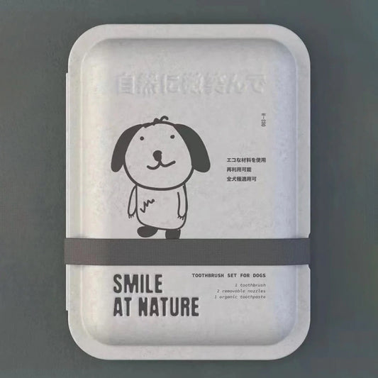 Grey Pulp Clamshell Biodegradable Toothbrush Packaging