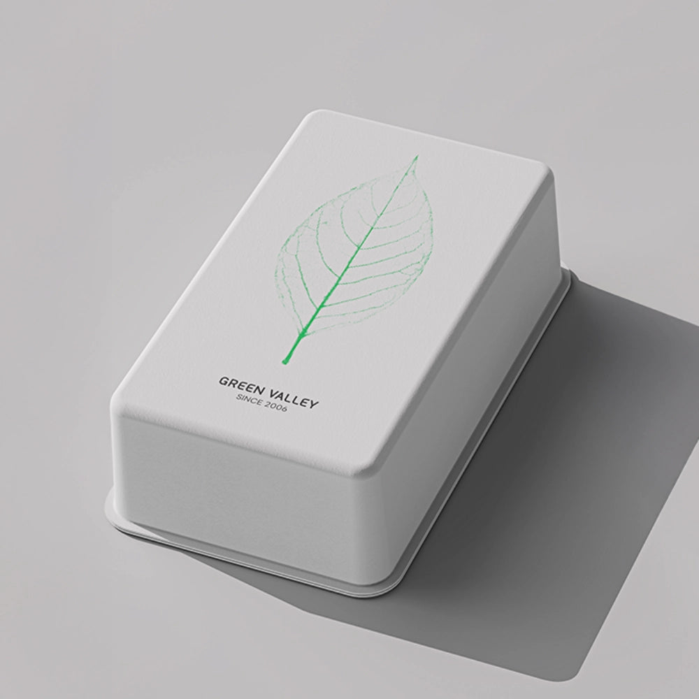 Wholesale Green Leaf Vein Stock Mold Perfume Box - Otarapack