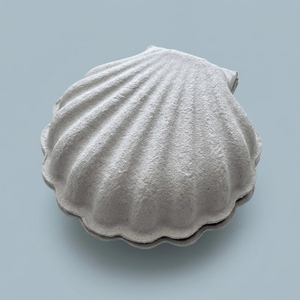 Shell Shape Handmade Necklace Bracelet Jewelry Packaging