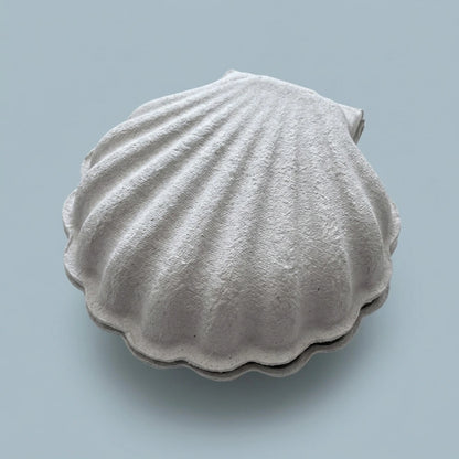 Shell Shape Handmade Necklace Bracelet Jewelry Packaging