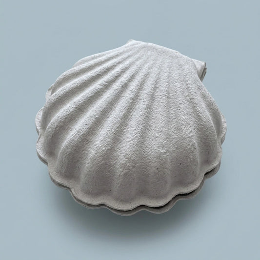 Shell Shape Handmade Necklace Bracelet Jewelry Packaging