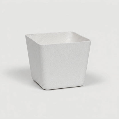 Biodegradable Molded Pulp Disposable Ice Cream Dessert Cup