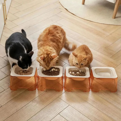 Square Sustainable Pet Food Cat Dog Bowl