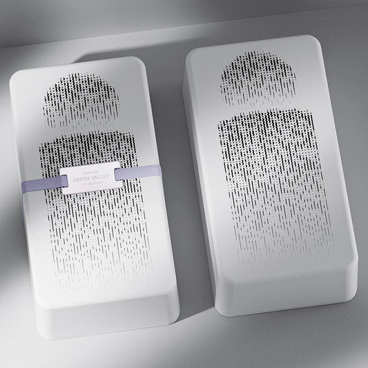 Gradient Halftone Dot Wave Pattern Molded Pulp Perfume Box