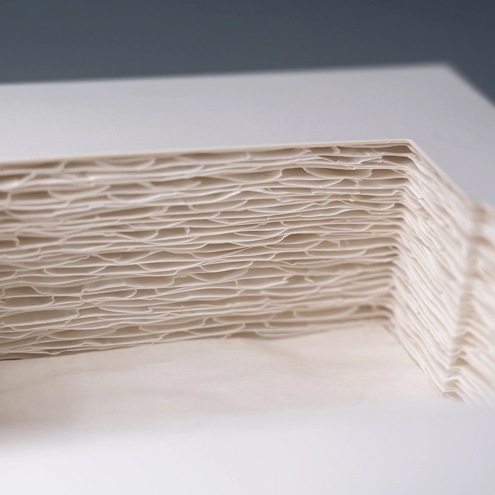 Black Paper Pulp Tray 3 Cavity Biodegradable Wholesale - Otarapack
