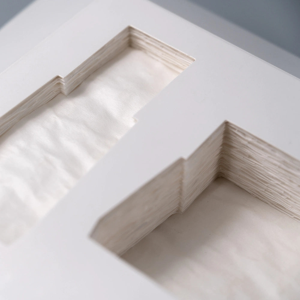 Black Paper Pulp Tray 3 Cavity Biodegradable Wholesale - Otarapack
