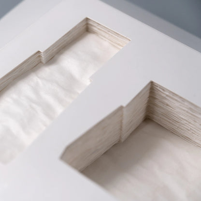 Black Paper Pulp Tray 3 Cavity Biodegradable Wholesale - Otarapack