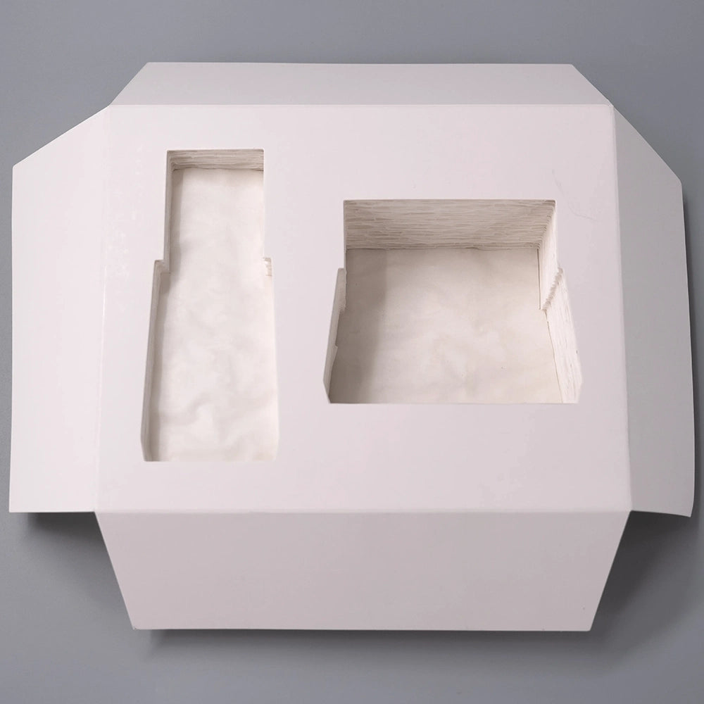 Black Paper Pulp Tray 3 Cavity Biodegradable Wholesale - Otarapack